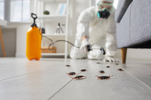 Trusted Mosquito Control service in La Center, WA - Nex Pest Control